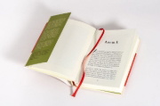 Buchcover und Innenansicht für das Buch: The Good Eye