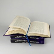Buchcover und Innenansicht für das Buch: Mit alten Männern spiel' ich nicht