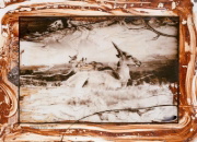 Buchcover und Innenansicht für das Buch: Peter Beard
