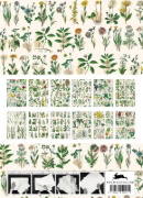 Buchcover und Innenansicht für das Buch: Flora