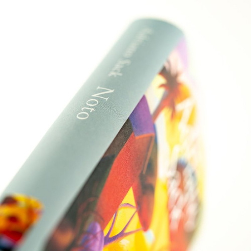 Buchcover und Innenansicht für das Buch: Noto