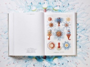 Buchcover und Innenansicht für das Buch: The Art and Science of Ernst Haeckel