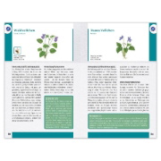Buchcover und Innenansicht für das Buch: Wildblumen und Kräuter entdecken und bestimmen
