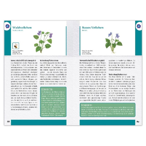 Buchcover und Innenansicht für das Buch: Wildblumen und Kräuter entdecken und bestimmen