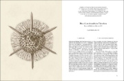 Buchcover und Innenansicht für das Buch: Ernst Haeckel