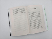 Buchcover und Innenansicht für das Buch: Die Elemente der Marie Curie