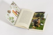 Buchcover und Innenansicht für das Buch: Gekommen, um zu bleiben