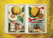 Buchcover und Innenansicht für das Buch: J. C. Volkamer. The Book of Citrus Fruits