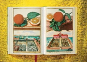 Buchcover und Innenansicht für das Buch: J. C. Volkamer. The Book of Citrus Fruits
