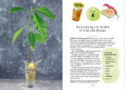 Buchcover und Innenansicht für das Buch: no-waste litchen gardening