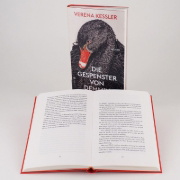 Buchcover und Innenansicht für das Buch: Die Gespenster von Demmin