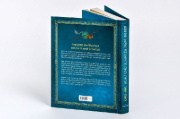 Buchcover und Innenansicht für das Buch: Tarot for Light Seers
