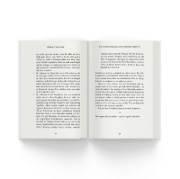 Buchcover und Innenansicht für das Buch: Meistere dein Mindset