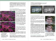 Buchcover und Innenansicht für das Buch: Nikon D500 - Für bessere Fotos von Anfang an