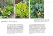 Buchcover und Innenansicht für das Buch: Mein traumhafter Landhausgarten