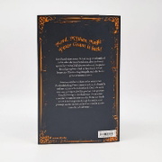Buchcover und Innenansicht für das Buch: Stone and Sky