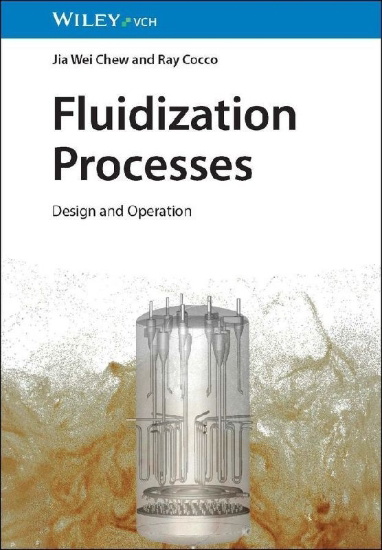 Buchcover und Innenansicht für das Buch: Fluidization Processes