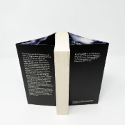 Buchcover und Innenansicht für das Buch: The Last Time I Lied