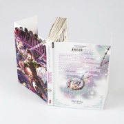 Buchcover und Innenansicht für das Buch:   Final Fantasy - Lost Stranger