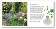Buchcover und Innenansicht für das Buch: GartenGlück