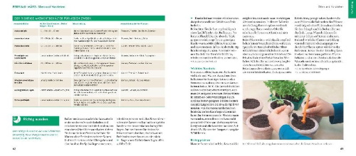 Buchcover und Innenansicht für das Buch: Quickfinder Hochbeet und Gemüsegarten