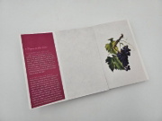 Buchcover und Innenansicht für das Buch: Gebrauchsanweisung für Wein