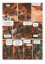 Buchcover und Innenansicht für das Buch: Orks & Goblins. Band 15