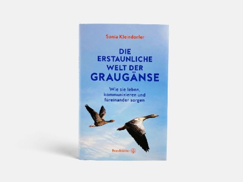 Buchcover und Innenansicht für das Buch: Die erstaunliche Welt der Graugänse