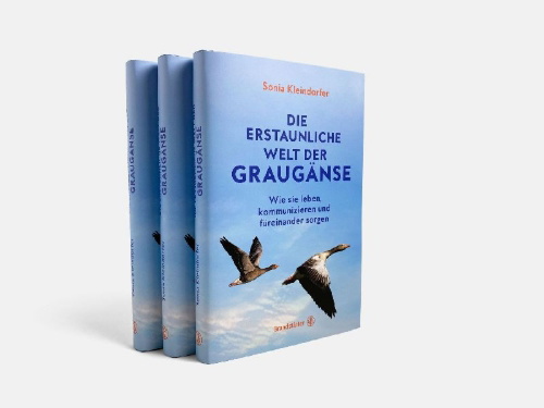 Buchcover und Innenansicht für das Buch: Die erstaunliche Welt der Graugänse