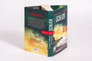 Buchcover und Innenansicht für das Buch: Schlick
