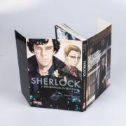 Buchcover und Innenansicht für das Buch: Sherlock