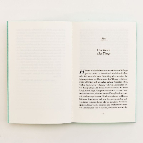 Buchcover und Innenansicht für das Buch: salvation