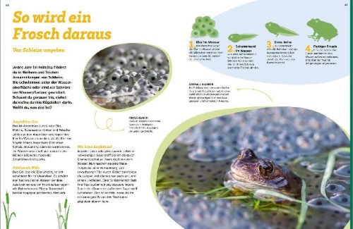 Buchcover und Innenansicht für das Buch: WAS IST WAS Schleim. Eklig? Nein, genial!