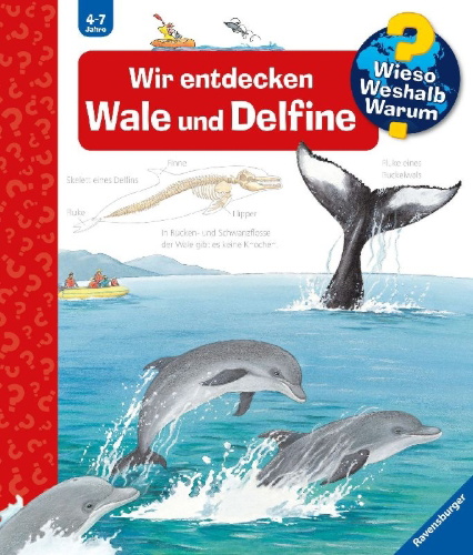 Buchcover und Innenansicht für das Buch: Wieso? Weshalb? Warum?, Band 41: Wir entdecken Wale und Delfine