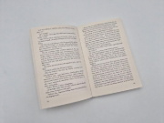 Buchcover und Innenansicht für das Buch: Gemälde eines Mordes