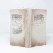 Buchcover und Innenansicht für das Buch: Die Dorflehrerin