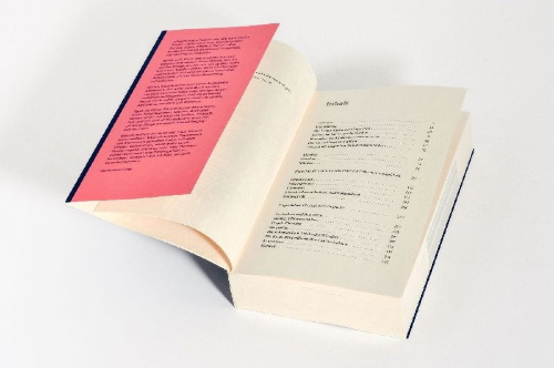 Buchcover und Innenansicht für das Buch: Little Addictions. The Tiny But Mighty Diversions from Our Best Lives