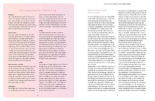 Buchcover und Innenansicht für das Buch: Dein Verjüngungscode