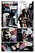 Buchcover und Innenansicht für das Buch: Batman & Dracula: Red Rain; Batman: Bloodstorm; Batman: Crimson Mist