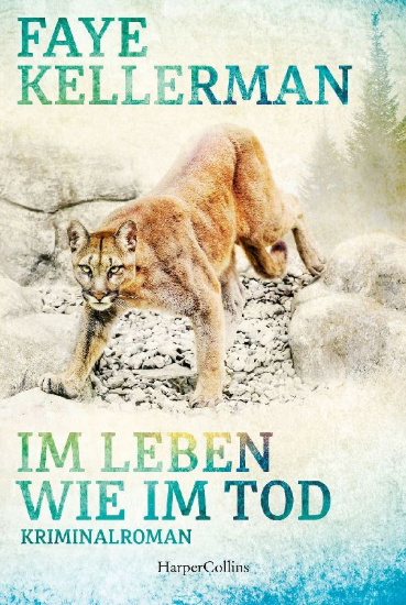 Buchcover und Innenansicht für das Buch: The Lost Boys