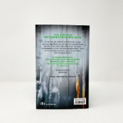 Buchcover und Innenansicht für das Buch: De Frosne Flammer