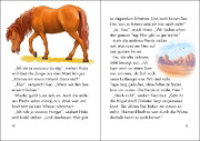 Buchcover und Innenansicht für das Buch: Wildpferde - mutig und frei (Band 5) - Rauch über der Prärie