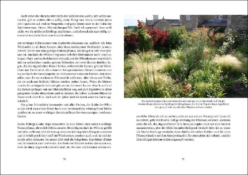 Buchcover und Innenansicht für das Buch: Mein wunderbarer Cottage-Garten