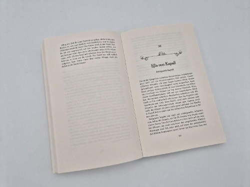 Buchcover und Innenansicht für das Buch: Elles et le Feu
