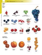 Buchcover und Innenansicht für das Buch: Langenscheidt Illustriertes Wörterbuch Französisch