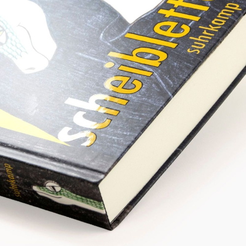 Buchcover und Innenansicht für das Buch: Scheiblettenkind