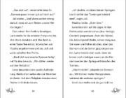 Buchcover und Innenansicht für das Buch: Ponyhof Apfelblüte - Samson und das große Turnier