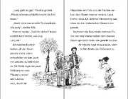 Buchcover und Innenansicht für das Buch: Ponyhof Apfelblüte - Ladys glanzvoller Auftritt