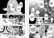 Buchcover und Innenansicht für das Buch: Ankoku Kishi no Ore Desu ga Saikyou no Seikishi o Mezashimasu