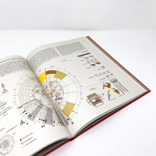 Buchcover und Innenansicht für das Buch: Infographie de la Rome antique